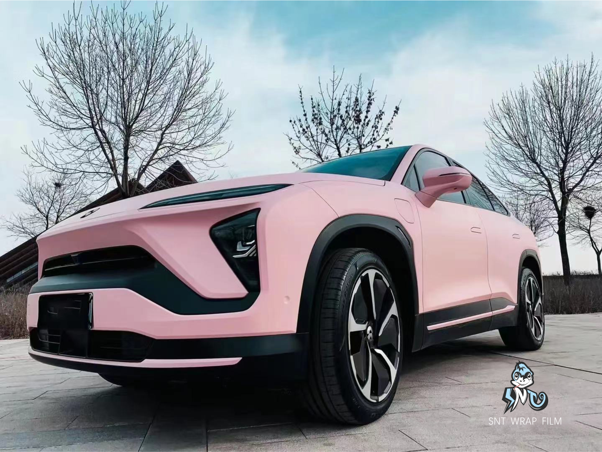 蔚来 消光康乃馨粉