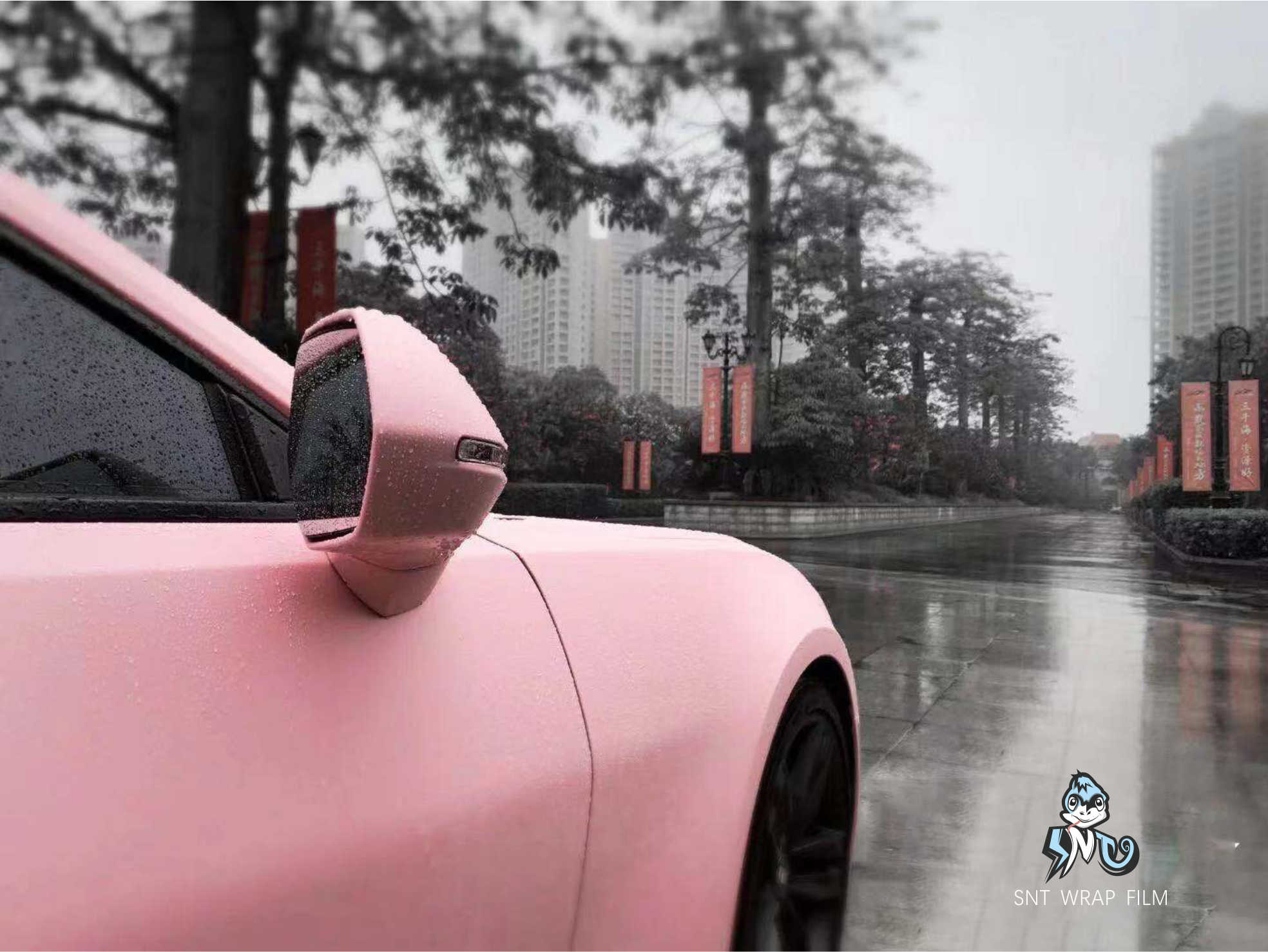 福特 消光康乃馨粉