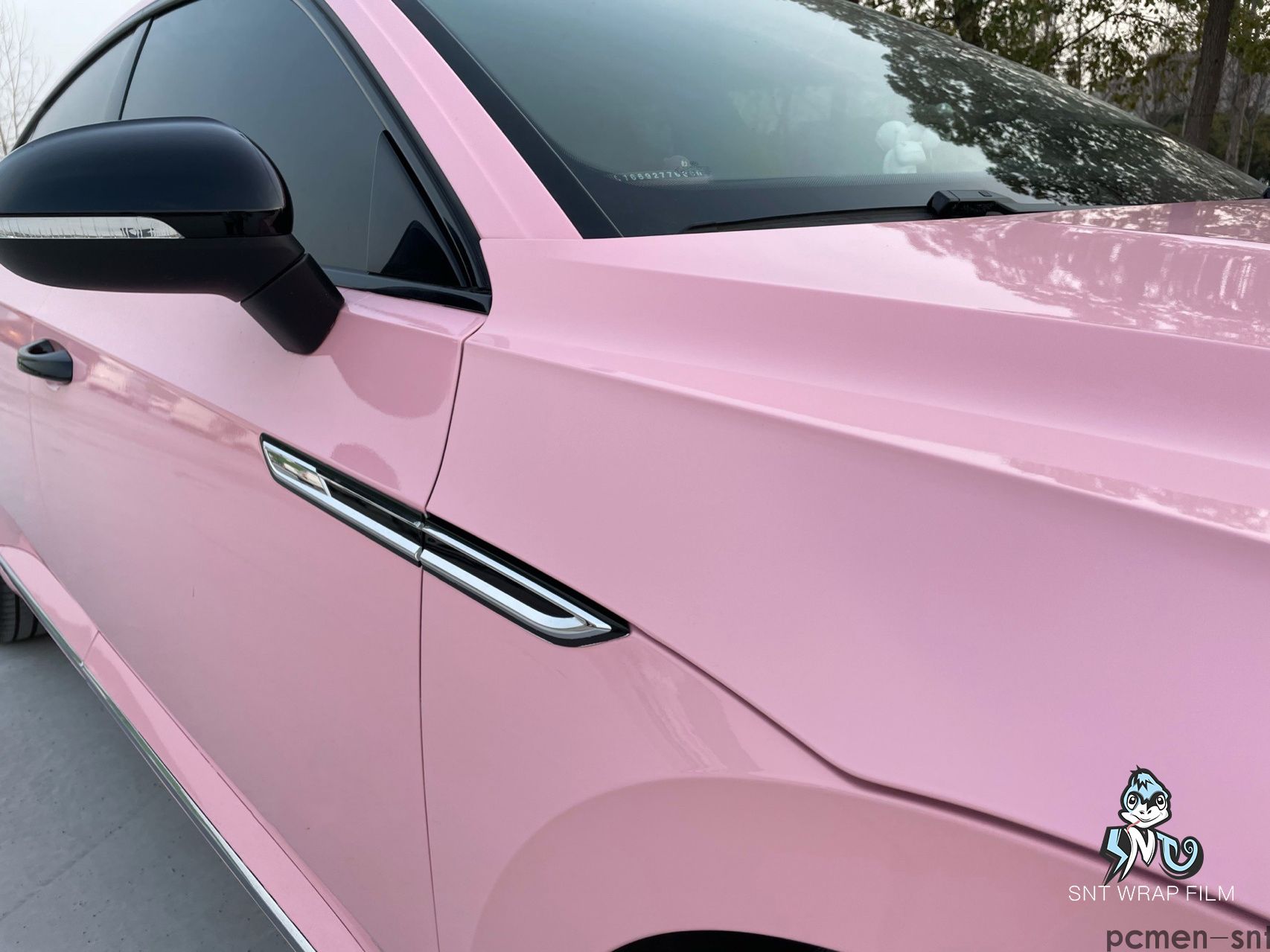 大众 水晶海棠粉