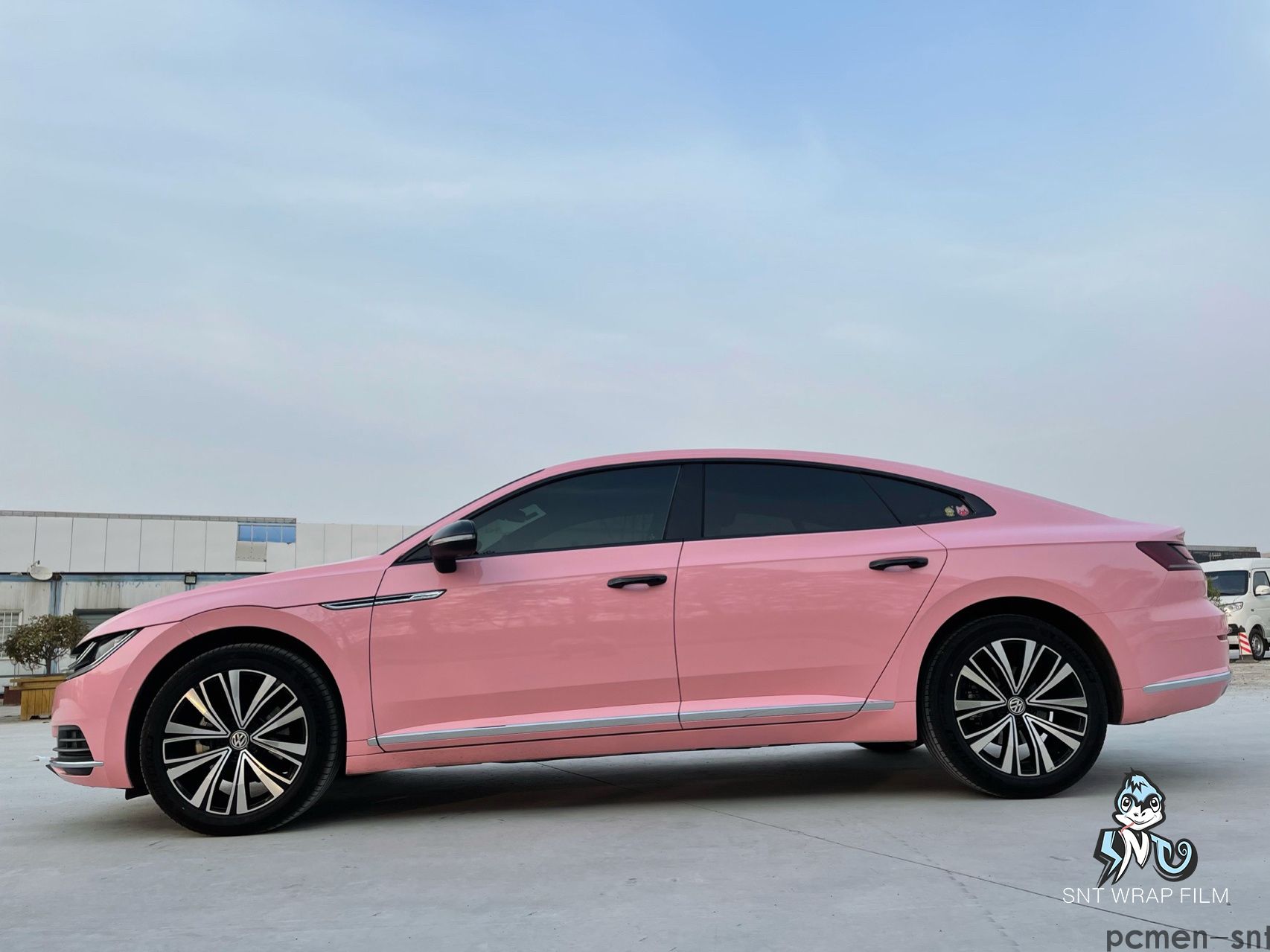 大众 水晶海棠粉