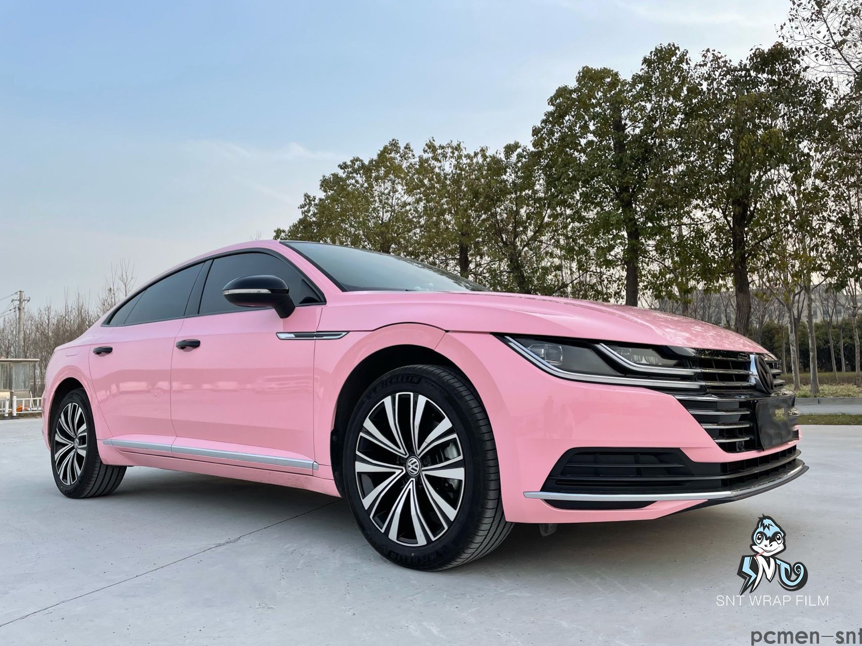 大众 水晶海棠粉